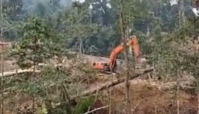 Diduga Oknum Anggota DPRK Bireuen Terlibat Pembalakan Liar di Hutan Lindung Alue Peukeucee