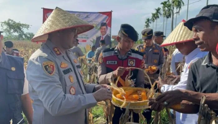 Dukung Ketahanan Pangan, Kapolres Nagan Raya Pimpin Panen Raya Jagung Serentak