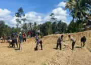Polres Pangandaran Dampingi Penanaman Jagung Hibrida dan Pepaya California di Desa Karangbenda