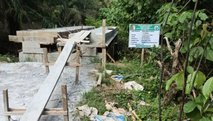 Diduga Pembangunan Fisik Desa Alue Jampak Thn 2024 Belum Selesai total