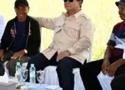 Prabowo Gelar Dialog Virtual dengan Petani di 14 Provinsi Saat Panen Raya Nasional