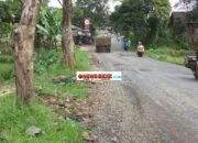 Kerusakan Parah Jalan Nasional Limpung–Tersono: Diduga Akibat Galian C Ilegal, Warga Desak Penegakan Hukum