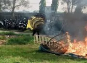 Polisi Gerebek Arena Judi Sabung Ayam di TPS Ngaglik Sidoarjo, Puluhan Barang Bukti Diamankan