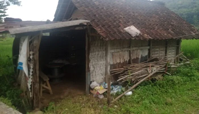 Nestapa Mbah Supi: Lansia Sebatang Kara di Karang Joho Tinggal di Rumah Hampir Roboh