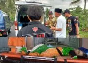 Respon Cepat Bupati Ngesti, Mbah Supi Kini Dirawat Intensif di RSUD Ambarawa