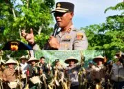Wujudkan Ketahanan Pangan, Polres Pangandaran Panen Raya Jagung di Bukit Baruno