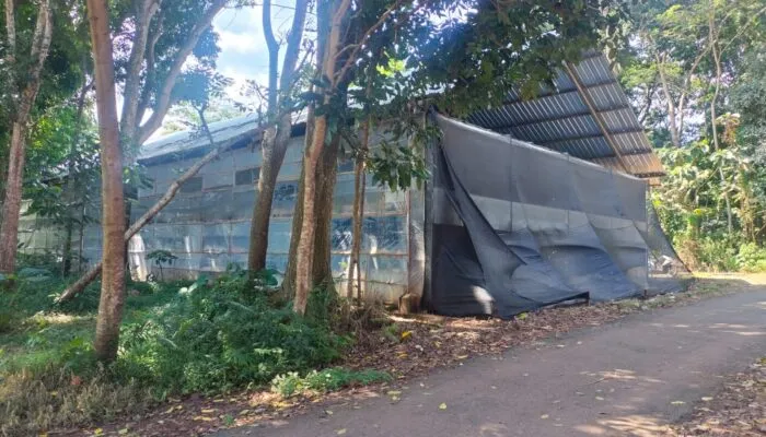 Tindakan Penyalahgunaan Gas LPG Bersubsidi 3 kg Ditemukan di Peternakan Ayam Kabupaten Semarang