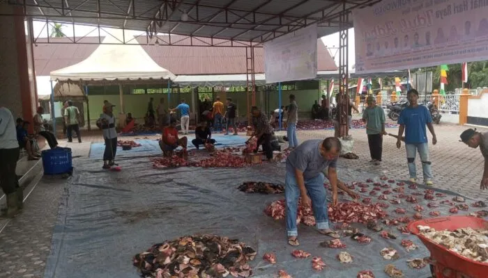 Menyambut Hari Raya Idul Adha 1446 H / 2025 M Masyarakat Purwodadi Berkurban 15 Sapi 1 Kerbau serta 13 kambing 