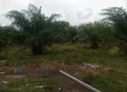 Diduga Serobot Lahan Warga, Izin HGU PT USJ di Nagan Raya Didesak Dievaluasi Total
