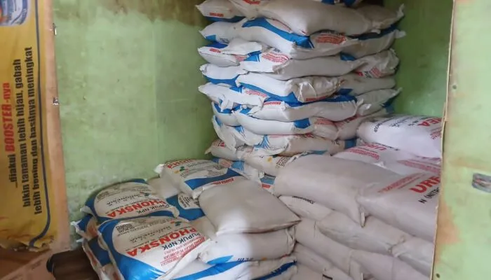 Dugaan Penyimpangan Pupuk Subsidi di Empat Lawang: Kios Usaha Tani Taufik Diduga Jual Bebas ke Tengkulak