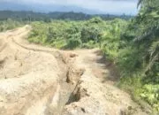 Perkebunan Sawit PT KIM Berkuasa Di Nagan Raya . Dimohon APH Tegakkan Keadilan