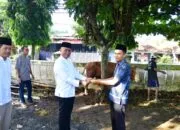 Penuh Keberkahan Idul Adha 1446 H, Polres Pangandaran Berkurban 4 Sapi dan 16 Kambing untuk Masyarakat