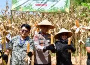 Presiden Prabowo Pimpin Panen Raya Jagung Nasional, Pangandaran Jadi Salah Satu Titik Fokus