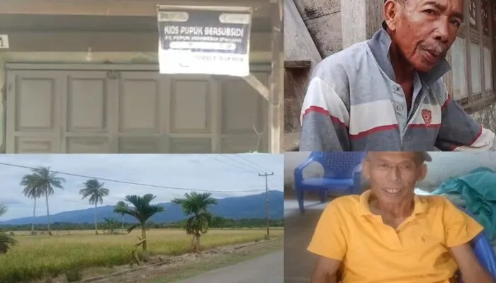 Kios sumber makmur milik asan menjual bebas pupuk bersubsidi ,tidak takut dengan hukum pidana