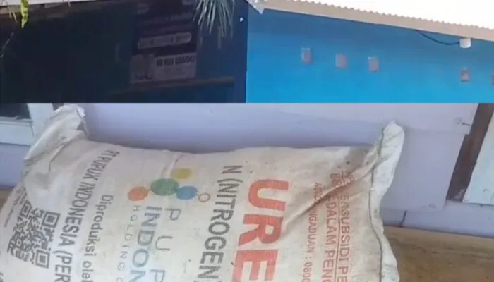 Di duga kios pupuk maju bersama milik anggota dewan musi rawas menjual pupuk di atas HET.dan pupuk susah di dapatkan