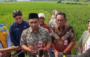 Grobogan Bangkit Usai Banjir, Pemprov Jateng dan Bank Indonesia Salurkan Bantuan untuk Pulihkan Lahan Pertanian
