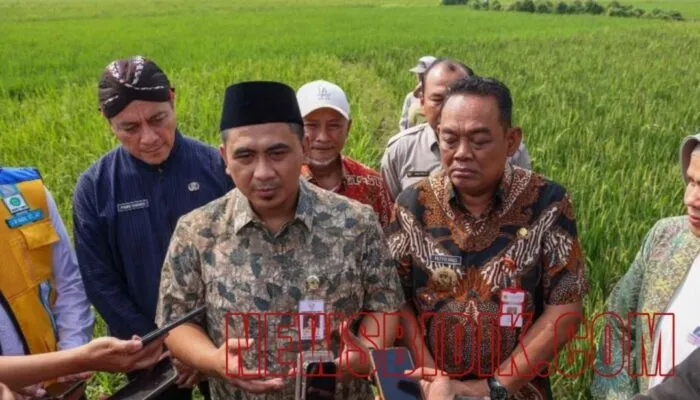 Grobogan Bangkit Usai Banjir, Pemprov Jateng dan Bank Indonesia Salurkan Bantuan untuk Pulihkan Lahan Pertanian