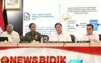 Pemerintah Longgarkan Regulasi Impor, Dorong Kemudahan Usaha dan Daya Saing Nasional