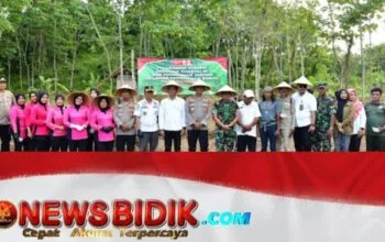 Polres Pangandaran dan Gapoktan Sinar Galih Rasa Kolaborasi Tanam Jagung di Lahan Perhutanan Sosial Cisaladah