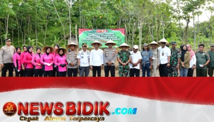 Polres Pangandaran dan Gapoktan Sinar Galih Rasa Kolaborasi Tanam Jagung di Lahan Perhutanan Sosial Cisaladah