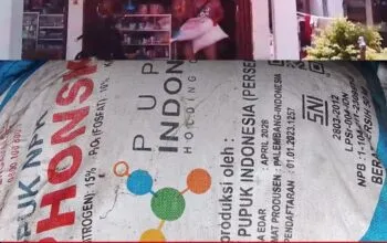 Diduga Jual Bebas Pupuk Subsidi, Kios Kia Kio Tani Rugikan Petani Resmi