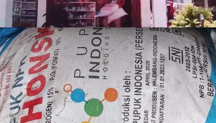 Diduga Jual Bebas Pupuk Subsidi, Kios Kia Kio Tani Rugikan Petani Resmi