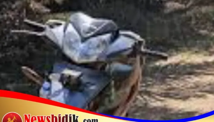 Diduga Cari Pembenaran, Asisten Afd II PT Sofindo Tuding Warga Mencuri Brondol Sawit — Sepeda Motor Diamankan Polsek Kuala