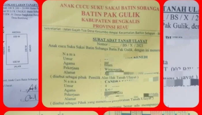 Aliansi Indonesia Desak Gubernur dan Kapolda Riau Usut Perusakan 76 Hektare Kebun Sawit Warga di Bengkalis