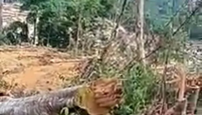 Diduga DPRK, Bupati, dan Dinas Terkait Hanya Formalitas Membela Masyarakat: Penyerobotan oleh Perusahaan Tak Kunjung Diselesaikan