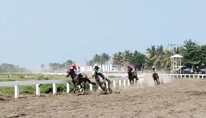 Ribuan Penonton Padati Pacuan Kuda Legokjawa, IHR Merdeka Cup 2025 Jadi Magnet Nasional