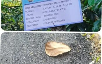 Aspal Desa Petekeyan Jepara Rusak Dini, Diduga Sarat Penyimpangan Anggaran