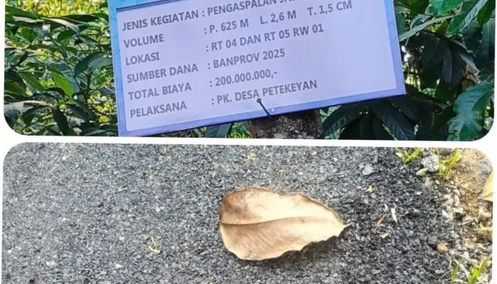 Aspal Desa Petekeyan Jepara Rusak Dini, Diduga Sarat Penyimpangan Anggaran