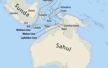 Sunda dalam Perspektif Geografi: Lebih dari Sekadar Suku, Sebuah Peradaban Tua yang Menyatu