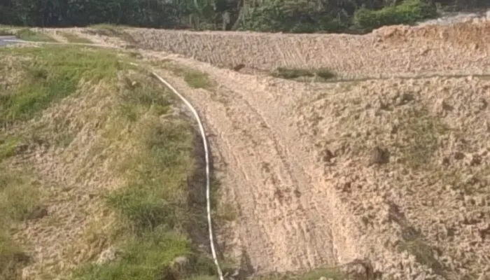 Staf PKS CV Holi Palma di Tadu Raya Klarifikasi Isu Eksplorasi Galian C