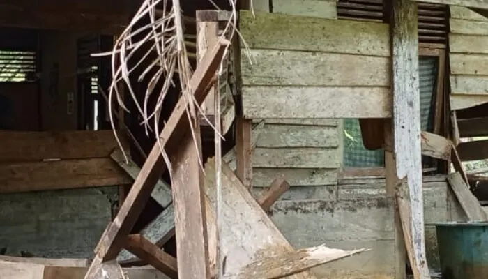 Kawanan Gajah Liar Masuk Permukiman Warga di Blang Lango, Pemkab dan BKSDA Diminta Turun Tangan