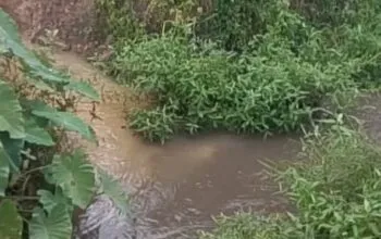 APH Nagan Raya Didesak Usut Dugaan Pencemaran Limbah PKS