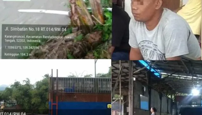 Dugaan Pengolahan Usus Ayam Berbahan Berbahaya di Pemalang, Gudang Ilegal dan Limbah Diduga Dibuang ke Sungai