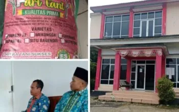 Diduga Dikomersialkan, Bantuan Benih di Desa Plompong Picu Keluhan Petani