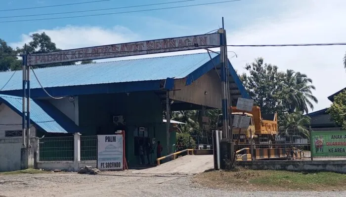 Diduga Ada Pemotongan Upah Buruh PT Socfindo Seunagan, Karyawan Minta Disnaker Nagan Raya Turun Tangan