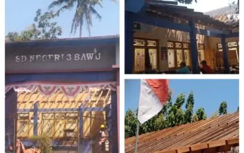 Dugaan Pelanggaran Proyek di SDN 3 Bawu Disorot, Pekerja Diduga Tanpa APD hingga Material Bekas Digunakan