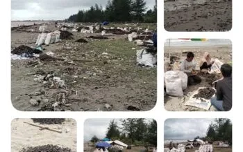 Pencemaran Pantai Meureubo Disorot, Pemkab Aceh Barat dan DPRK Didesak Bertindak