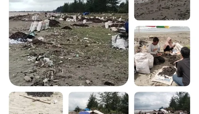 Pencemaran Pantai Meureubo Disorot, Pemkab Aceh Barat dan DPRK Didesak Bertindak