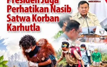 Prabowo Instruksikan Optimalisasi Pemadaman Karhutla di Taman Nasional Tanjung Puting, Keselamatan Petugas dan Satwa Jadi Perhatian