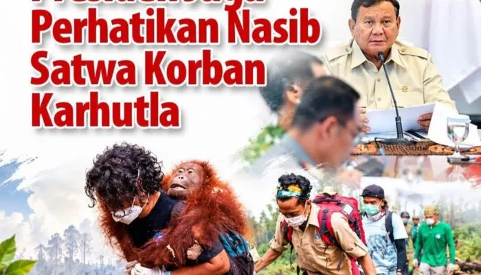 Prabowo Instruksikan Optimalisasi Pemadaman Karhutla di Taman Nasional Tanjung Puting, Keselamatan Petugas dan Satwa Jadi Perhatian