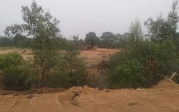 Penimbunan Lahan Mangrove di Sungai Ayam Karimun Disorot, Diduga Alih Fungsi Jadi Perumahan Tanpa Plang Izin.